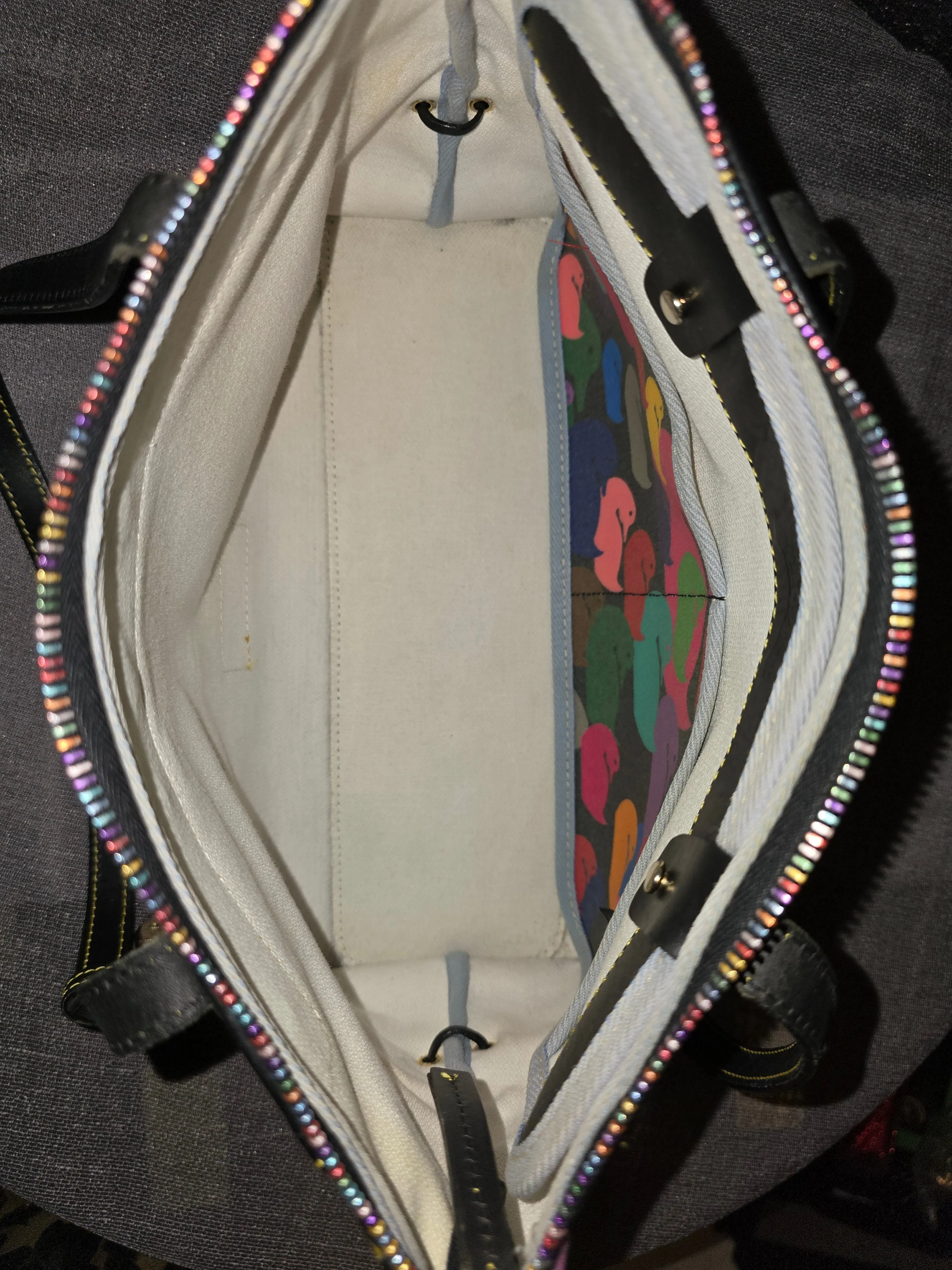 Dooney Bourke Vintage Rainbow Duck Tote Shoulderbag Satchel with DB Accessory