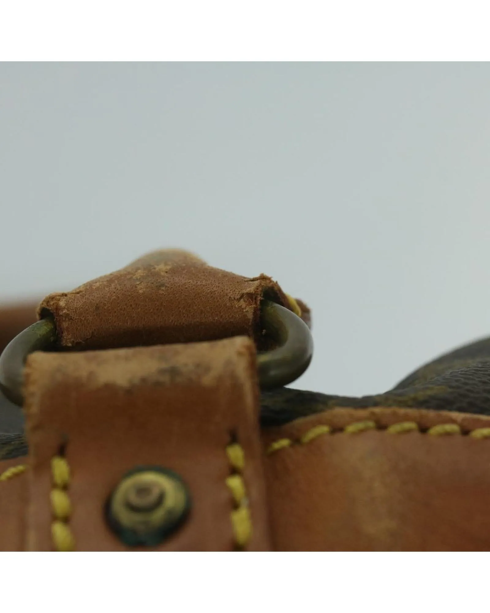 Pet Carry Bag made of Monogram Canvas by French Designer
