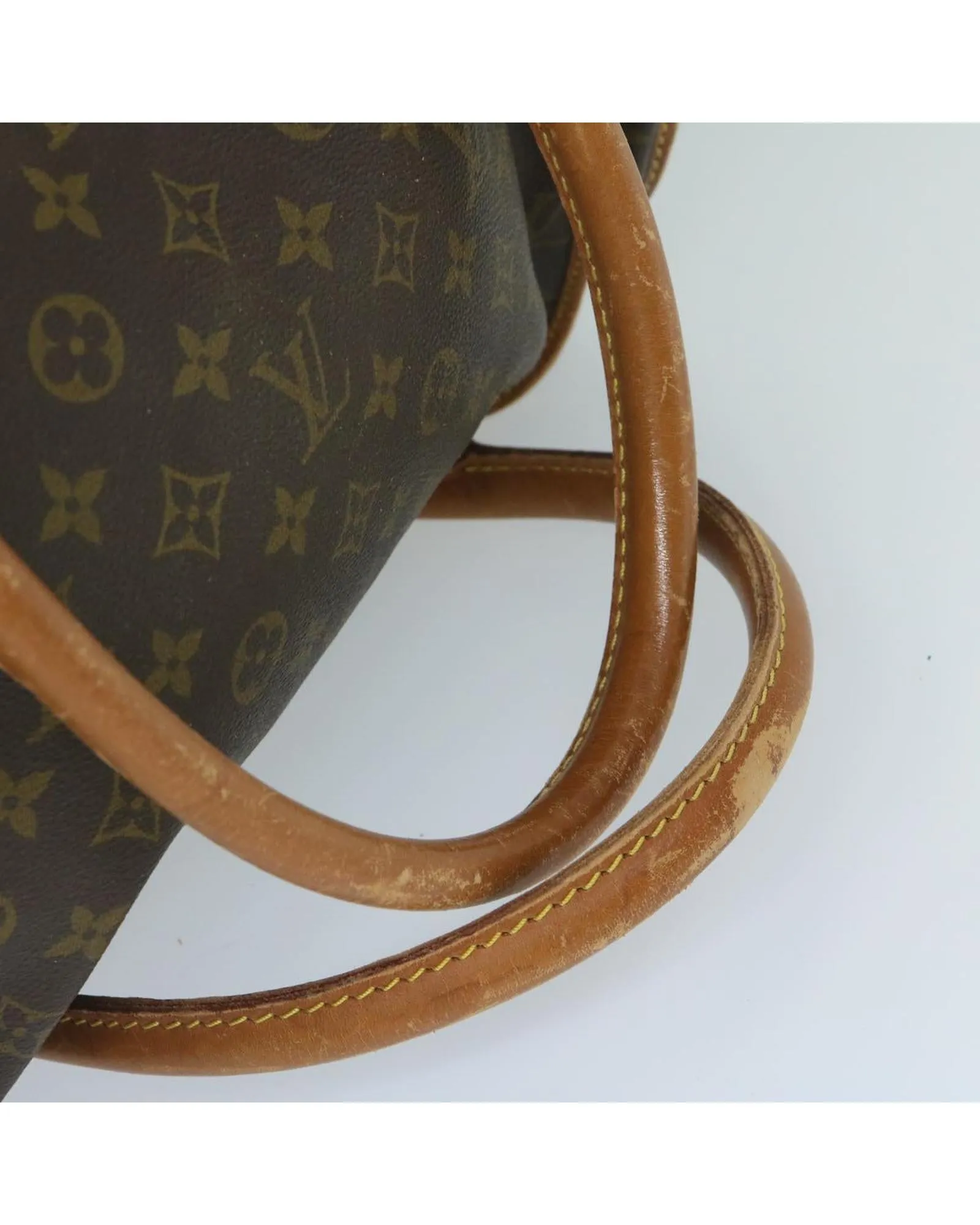 Pet Carry Bag made of Monogram Canvas by French Designer