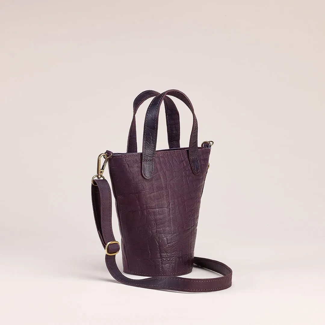 Sara Mini Tote Bag